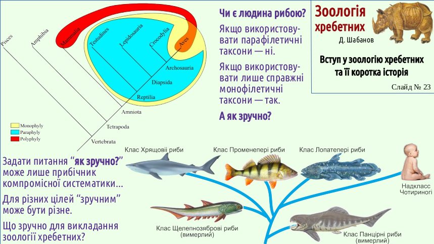 Zoo 01 Zoology 23