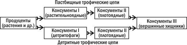 Ecology: The Biology of Interactions. 3.11. Trophic Links and Levels