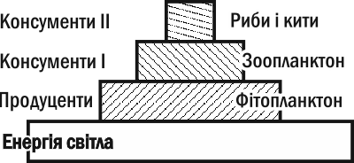 Fig. III-13.3. Productivity pyramids are always upright.Such a pyramid will always be upright. The first law of thermodynamics (conservation of energy) 'prohibits' such a pyramid from being inverted, and the second law prohibits it from having 'floors