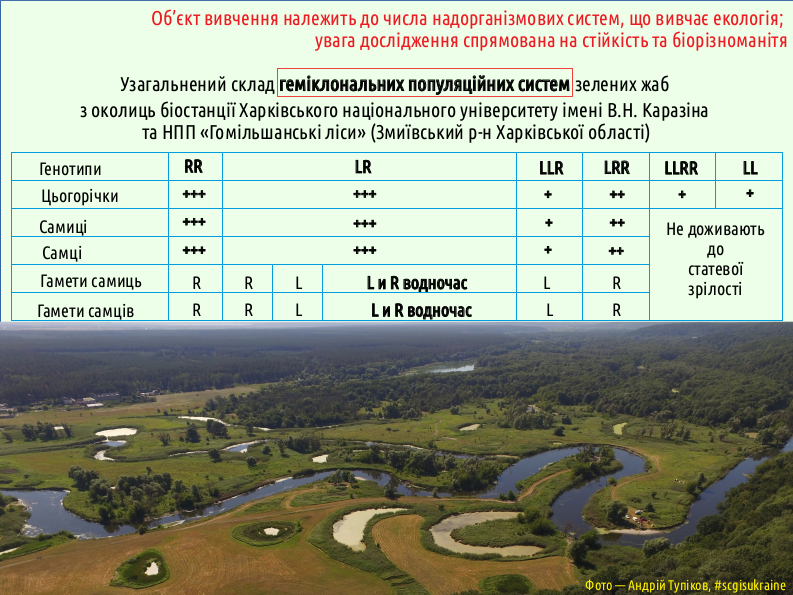 Eco I What is ecology 19