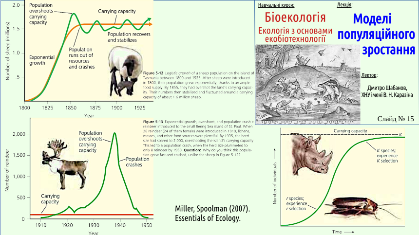 PopulationGrowth 15