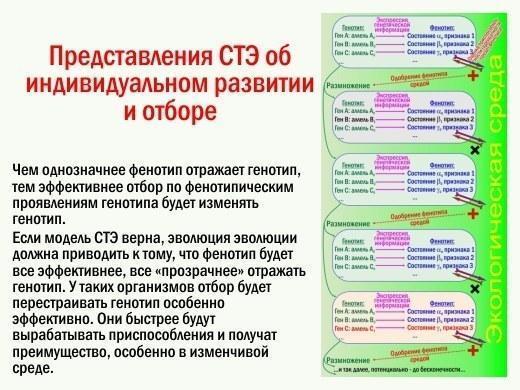 ete 17