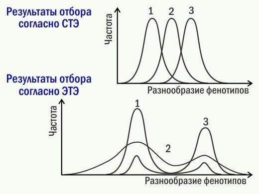 ete 32