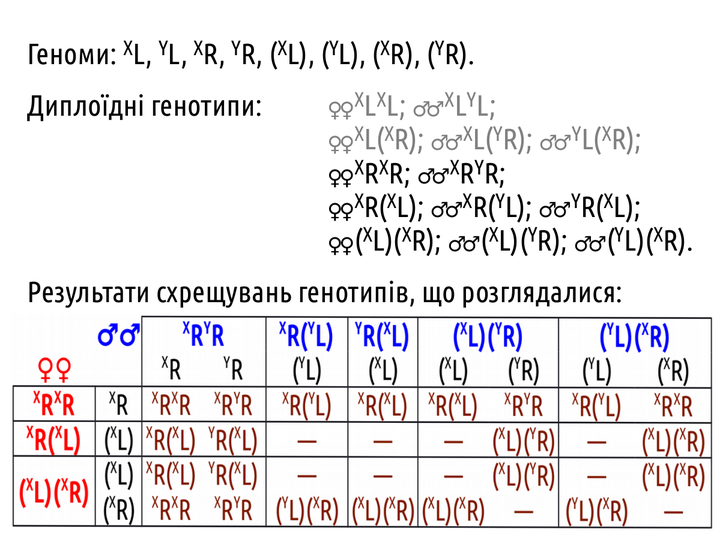 PhisTech 29