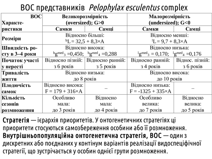 PhisTech 42