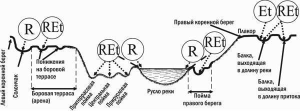 Рис. 7. Біотопічний розподіл за елементами рельєфу долини річки Північний Донет (басейн Дону) популяційних систем P. esculentus complex\n