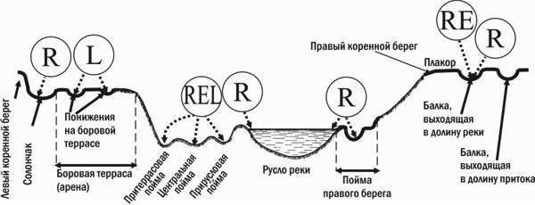 Рис. 8. Біотопічний розподіл за елементами рельєфу долини річки Мерла (басейн Дніпра) популяційних систем Pelophylax esculentus complex\nВстановлені типи водойм, у яких відбувається формування популяційних систем Pelophylax esculentus complex. Вк