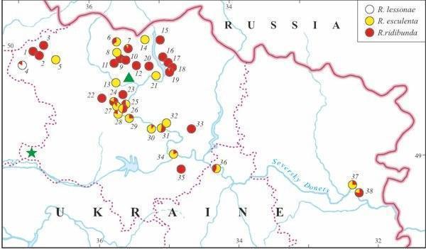 Fig. 2. The distribution of members of the Rana esculenta complex in eastern Ukraine (based on genome size data). The triangle marks the Kharkov City sample with R. ridibunda studied in 1989. The asterisk denominates the Russkii Orchik sample wit