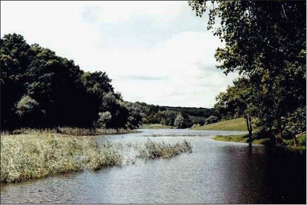 Fig. 3. Iskov Pond in the environs of the settlement Gaidary. The habitat of diploid and triploid Rana esculenta as well as R. ridibunda. Photo by Alexey V. Korshunov. RESULTS Species Genome Composition in Hybrids According to genome size data, e