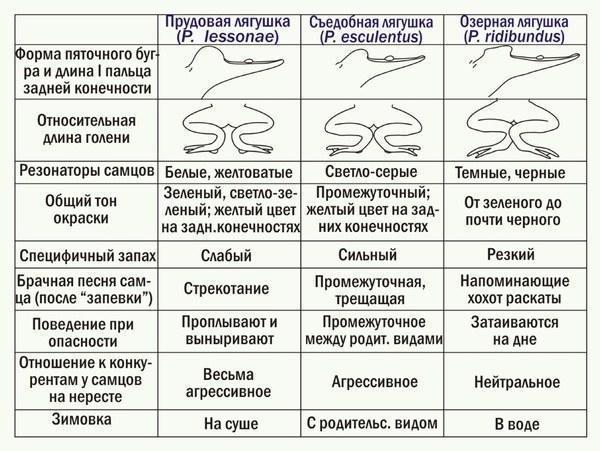 ek lec 03