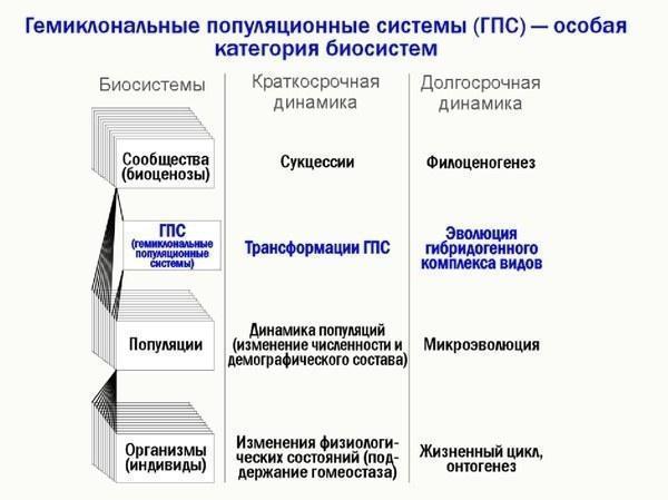 ek lec 11