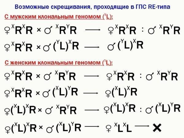 ek lec 24