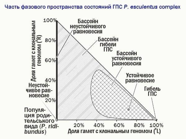 ek lec 27