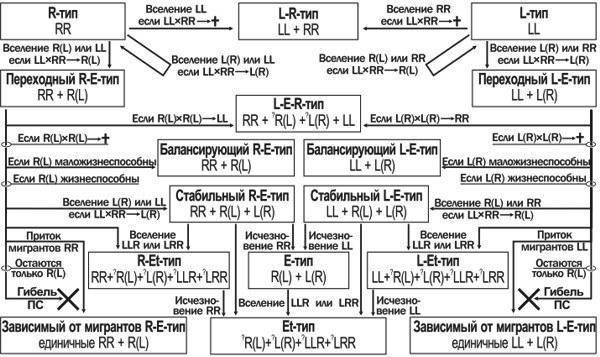 Рис. 1. Можливі шляхи трансформацій популяційних систем (ПС) Pelophylax esculentus complex. Позначення: L— геном Pelophylax lessonae; R— геном Pelophylax ridibundus; L, R— неклональні (такі, що рекомбінуються) геноми; (L), (R) — клональні (такі,