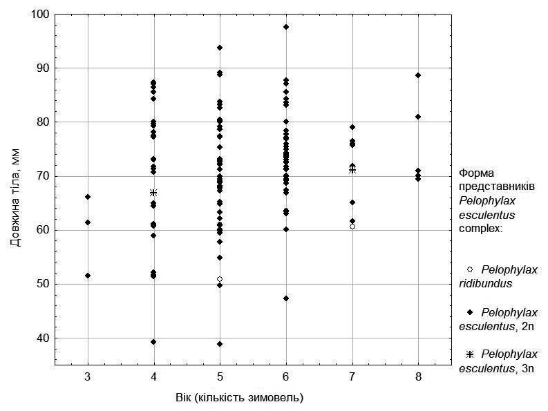 Fig. 4. Size-to-age relationship for males from five ponds in the environs of NPP "Homilshansky Forests"It may be proposed that these differences in growth rate reflect differences between intrapopulation ontogenetic strategies of precocity and s