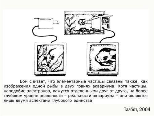 antropn 10 aquarium
