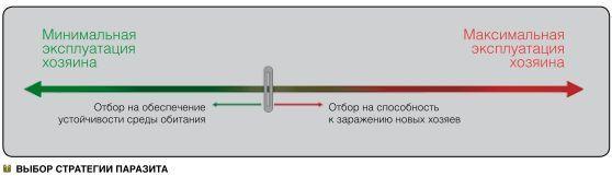 Свиной грипп, или Убыстрение времени