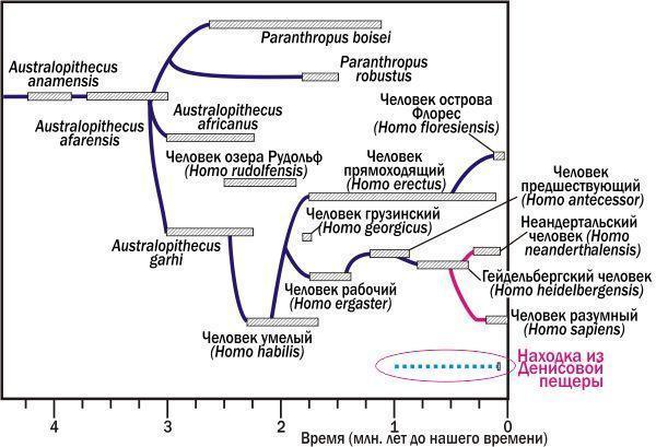 Взгляд на человеческую природу из глубины Денисовой пещеры