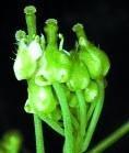 image050
