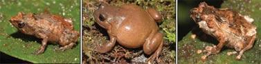 image069