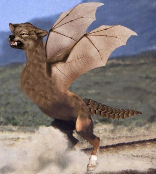 pegasofer