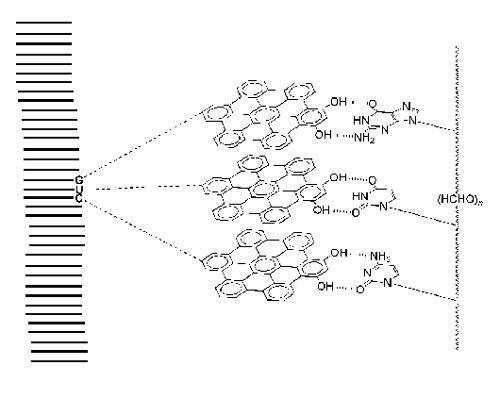 proto rna
