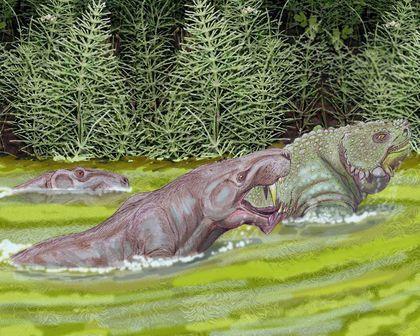 theromorpha inostranc lati2db
