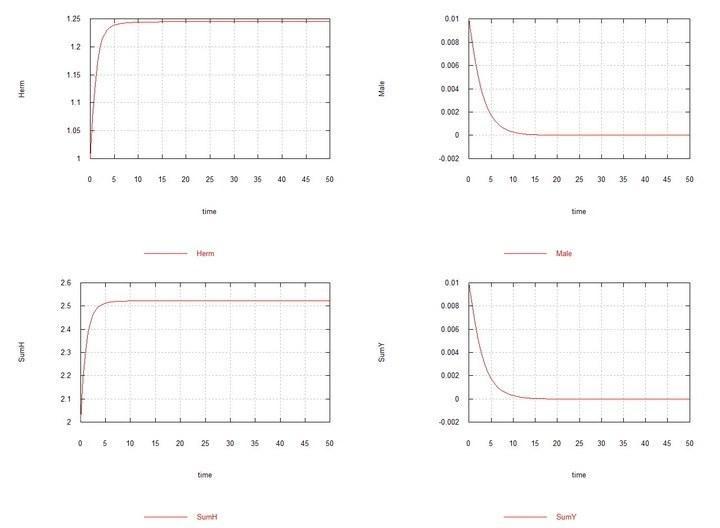 Fig. 5. (Fig09m) – Conditions are similar to Fig04m with the difference that Kysis chosen equal to 7e-5, i.e., the rate constants of spermatogenesis in hermaphrodites HHand males HYare the same. Displacement of males under these conditions is dem