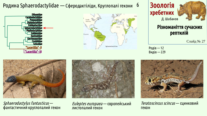 reptilian systematics 27