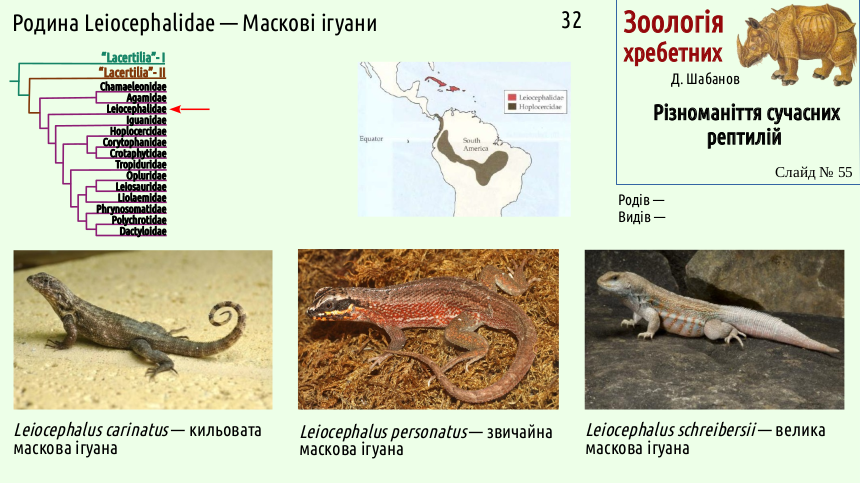 reptilian systematics 55