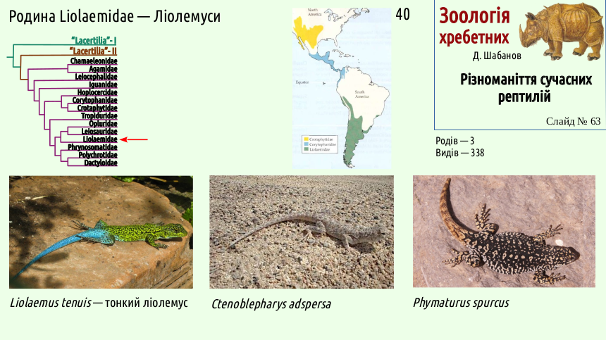 reptilian systematics 63
