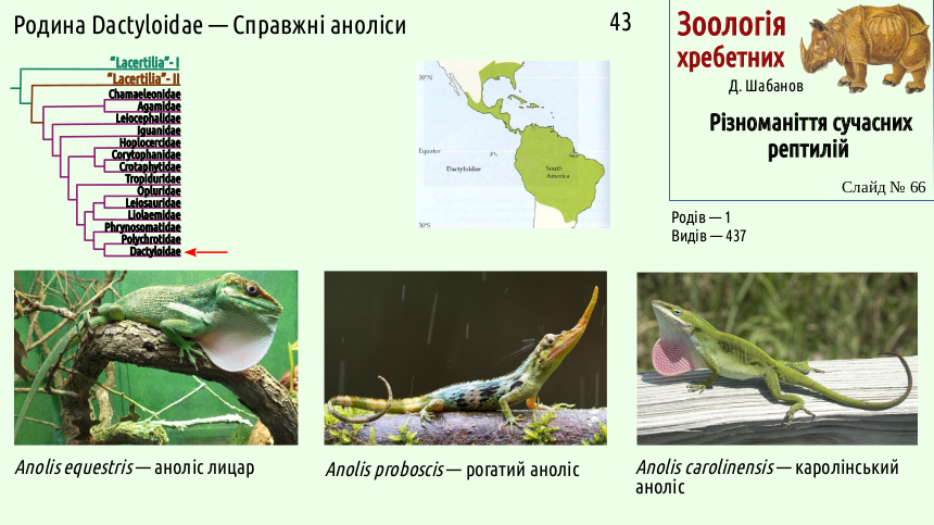 reptilian systematics 66