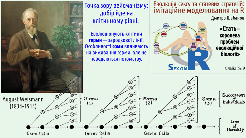 sex 09