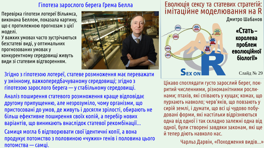 sex 29