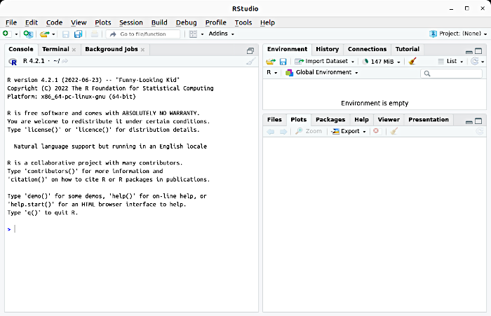 Fig. 2.2.1 We have just launched RStudio. This is what we seeThe left part of the RStudio screen is occupied by the console — the «device» for input and output of information. After the > sign there is a cursor. Type 2*2 there and press Enter. You
