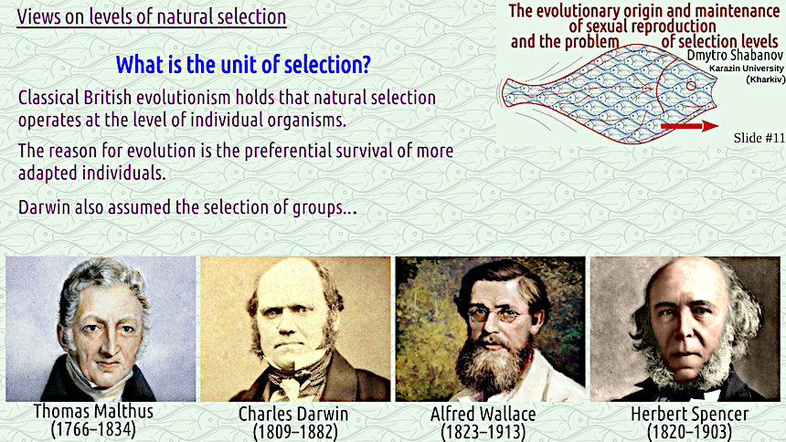 shabanov evoschool 11 result