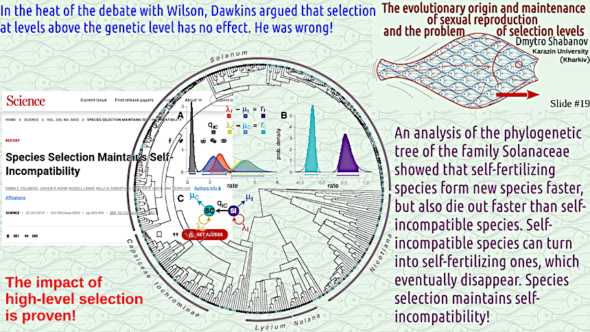 shabanov evoschool 19 result