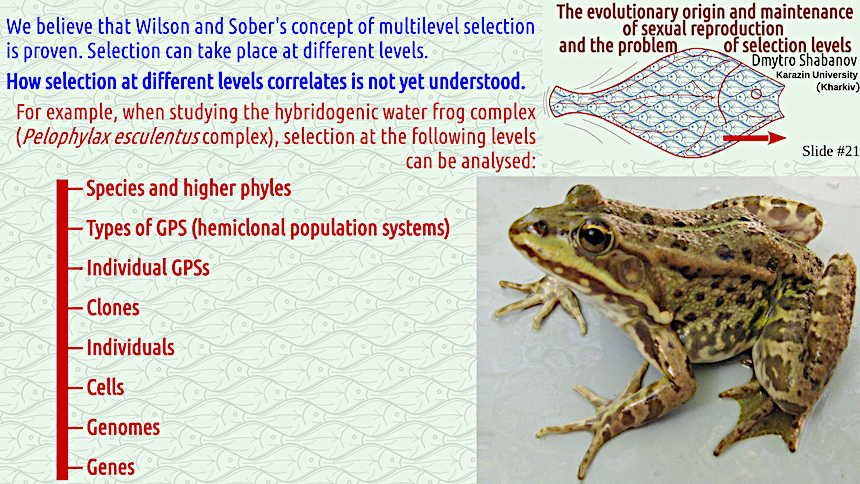 shabanov evoschool 21 result