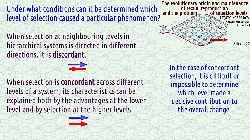 shabanov evoschool 22 result