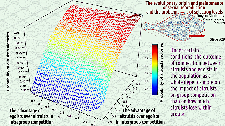 shabanov evoschool 29 result