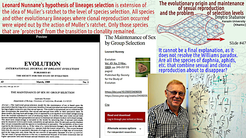 shabanov evoschool 47 result