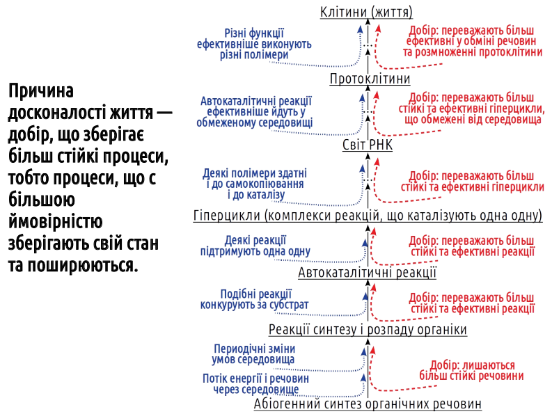 HumNat I Evolution%26Selection 40