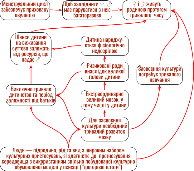 HumanReproduction Fragm