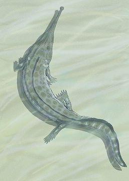 Stegocephalia Prionosuchus