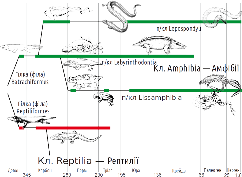 System