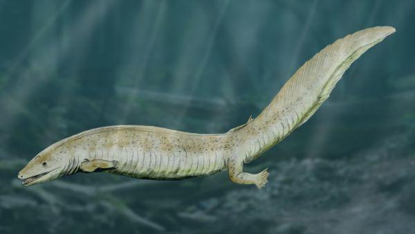 reptiliomorpha eogyrinus