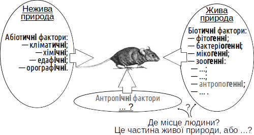Рис. V-2.1. Поняття, які ми використовуємо в класифікації факторів, відбивають наші уявлення про наше місце у картині світу Інша думка, запропонована тут, така: якщо виділяти лише групу антропогенних чинників, її слід відносити до біотичних. Однак