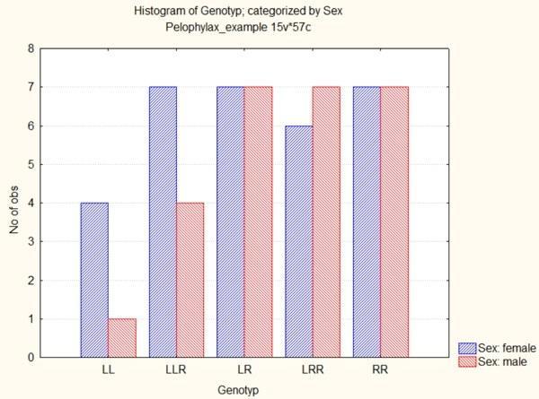 Fig. 5.1.11. Categorized histogram: males and females shown as separate columns highlighted by colour 5.2. Editing a graph in StatisticaThe categorized histogram obtained in the previous section allows a quick assessment of sample size and composit