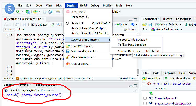 Fig. 4.4.1 If we change the working directory using RStudio’s tools, its address will appear in the console.After a new working directory has been selected, RStudio will report which command it executed. This command can be copied and pasted into a