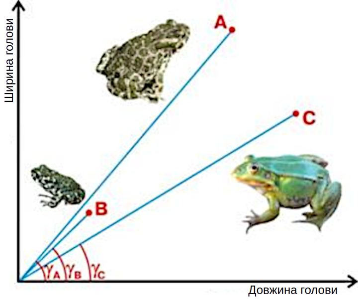 Fig. 12.1.1. Which object is object A more similar to: B or C? If distance is used as the similarity metric, then to C: |AC|